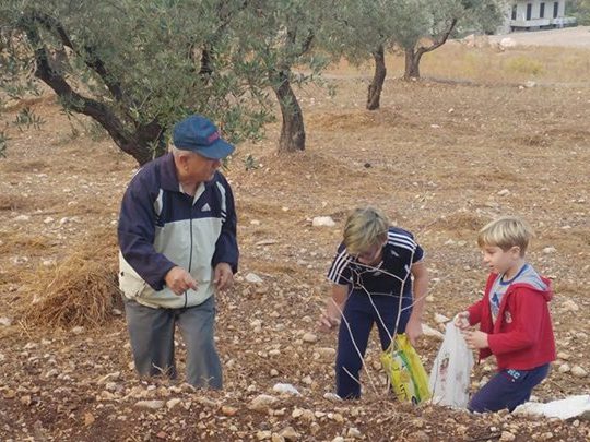 أميون- جمع البزيق رحلة ممتعة ينتظرها الكثيرون بعد أول شتوة